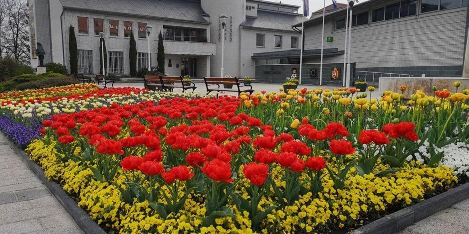 Best Relax Heviz Apartman Екстер'єр фото